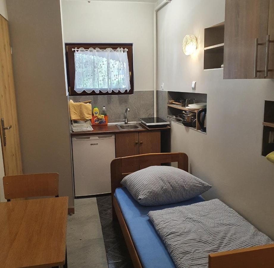Noclegi Silesia Aster Tychy Room photo